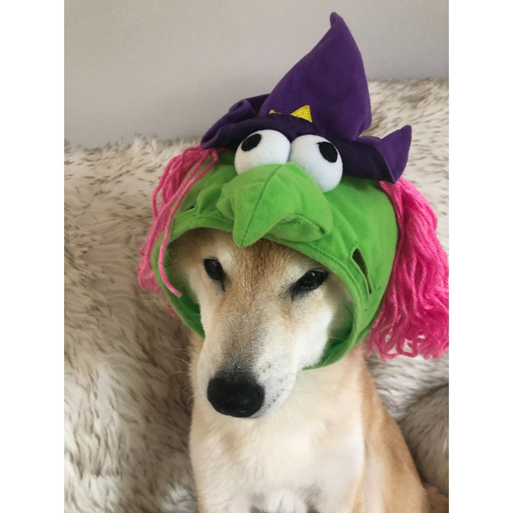 Dog Witch Hat‎ Halloween Dogs Witches Costume Hat with Cuffs